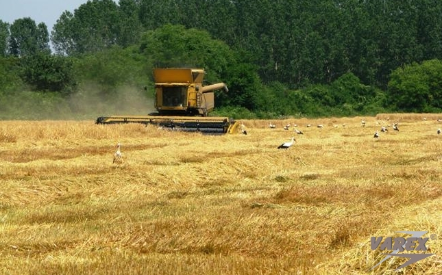 ROTARY HARVEST PREMIERE IN BULGARIA
