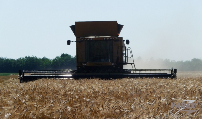 CHALLENGER HARVESTING 2011 STARTED NEAR KAVARNA